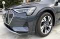 Audi e-tron 50 quattro advanced Grau - thumbnail 9