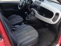 Fiat Panda 1,2 70 City Cross Rot - thumbnail 19