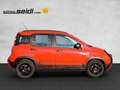 Fiat Panda 1,2 70 City Cross Rot - thumbnail 6