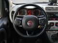 Fiat Panda 1,2 70 City Cross Rot - thumbnail 10