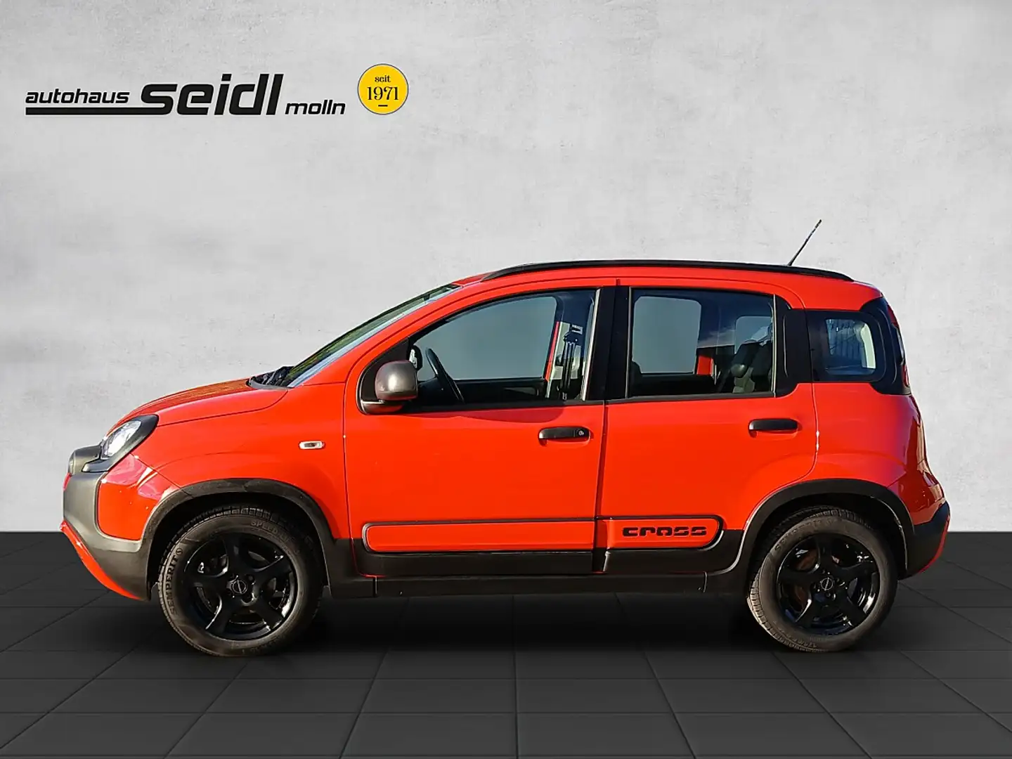 Fiat Panda 1,2 70 City Cross Rot - 2