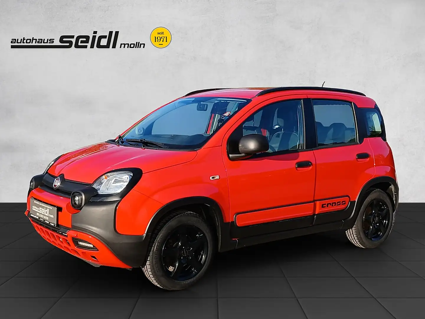 Fiat Panda 1,2 70 City Cross Rot - 1
