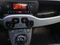 Fiat Panda 1,2 70 City Cross Rot - thumbnail 14