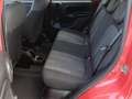 Fiat Panda 1,2 70 City Cross Rot - thumbnail 18