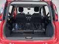 Fiat Panda 1,2 70 City Cross Rot - thumbnail 13
