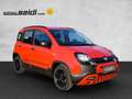 Fiat Panda 1,2 70 City Cross Rot - thumbnail 7