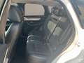 Mazda CX-60 HOMURA 3.3L DIESEL 200 PS MIT PANORAMDACH Weiß - thumbnail 12