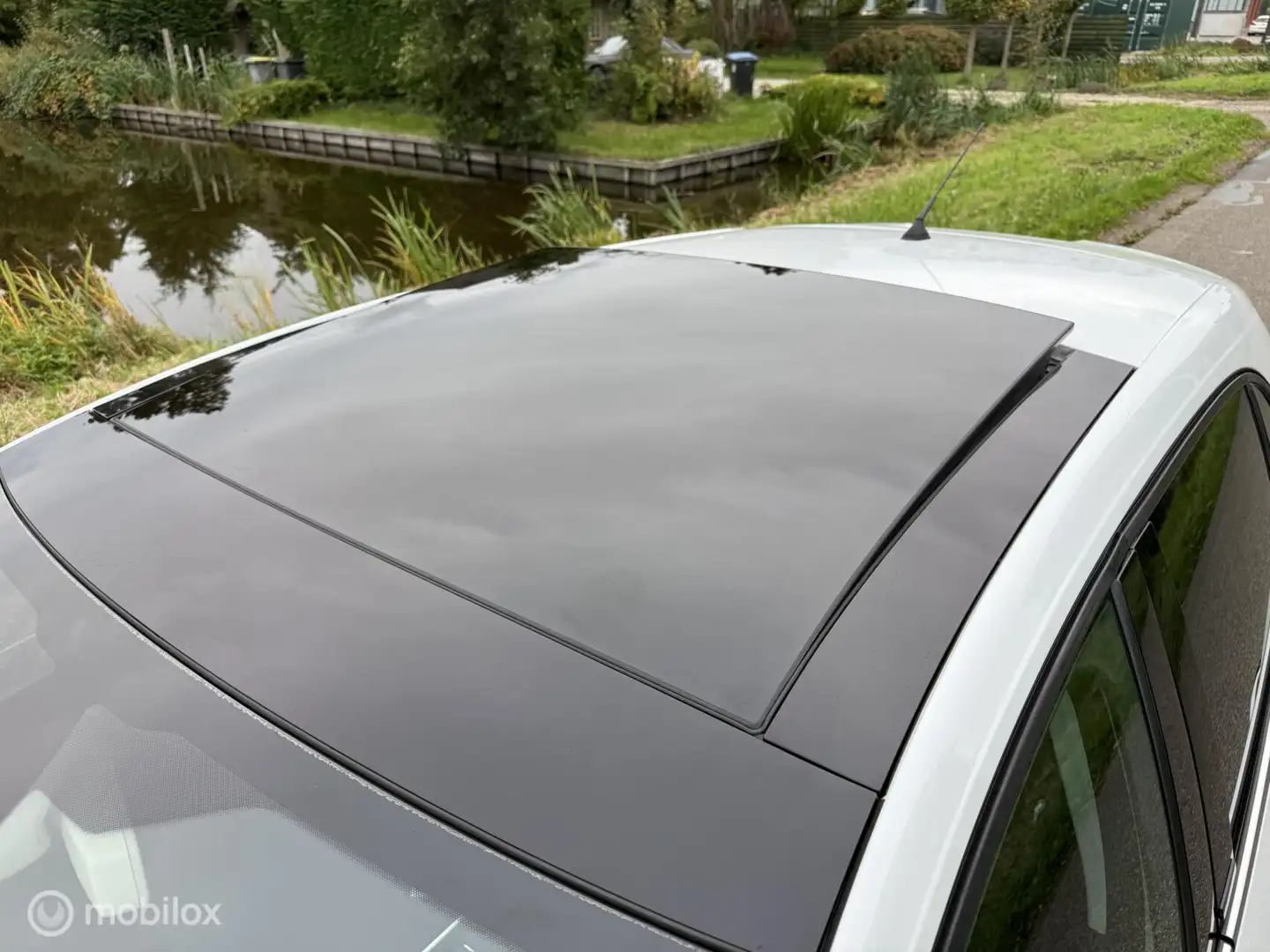 Renault Megane 1.8 TCe 300 RS Trophy / Pano / Bose / Brembo Wit - 2