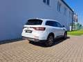 Renault Koleos dCi 185  Intens X-Tronic*Navi*RFK*PDC* Weiß - thumbnail 4