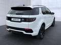 Land Rover Discovery Sport D200 R-Dynamic SE Weiß - thumbnail 3