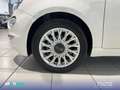 Fiat 500 1.0 Hybrid 51KW (70 CV) Monotrim Blanc - thumbnail 11