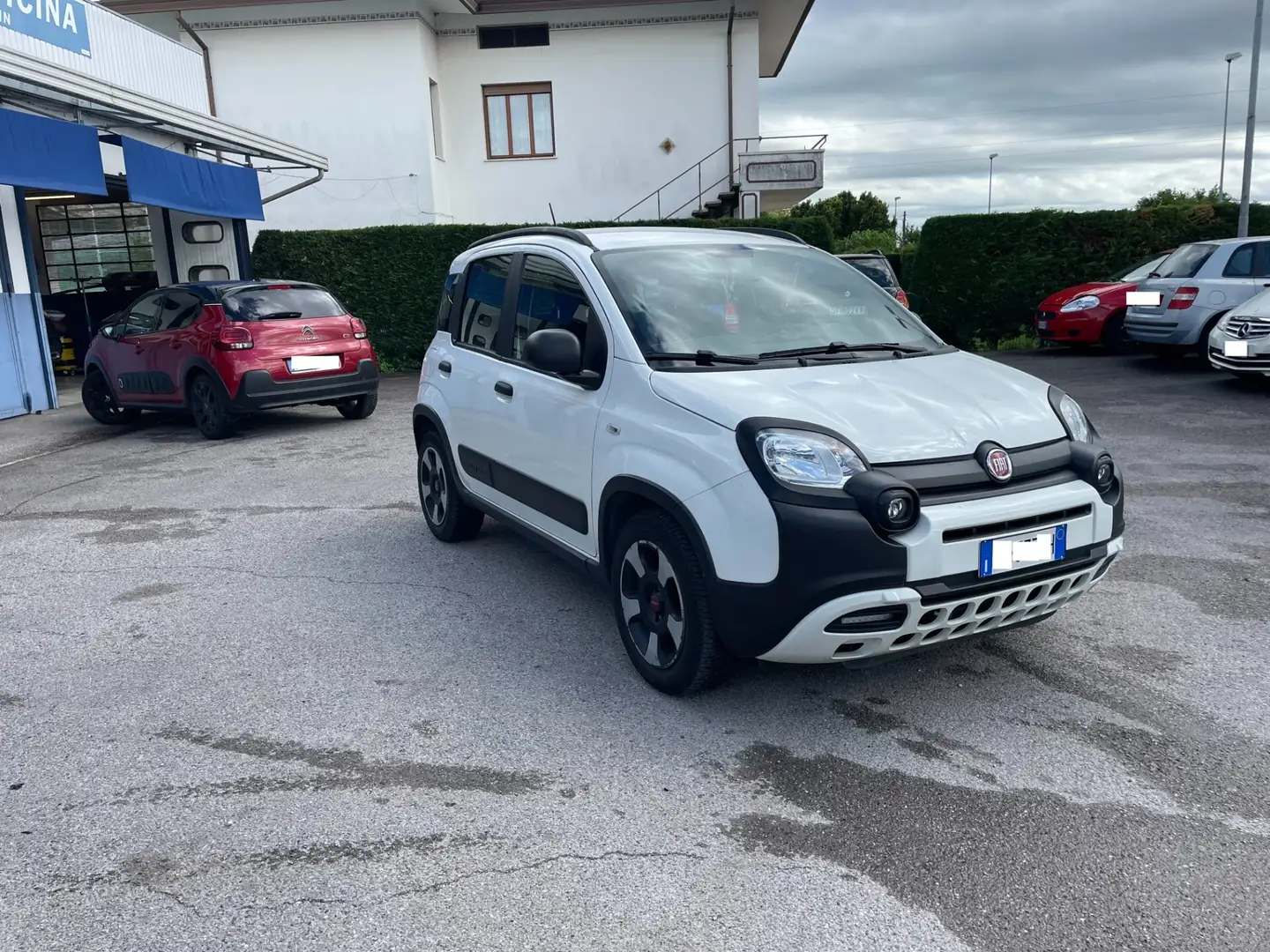 Fiat Panda 1.0 FireFly S&S Hybrid City Cross Blanco - 1