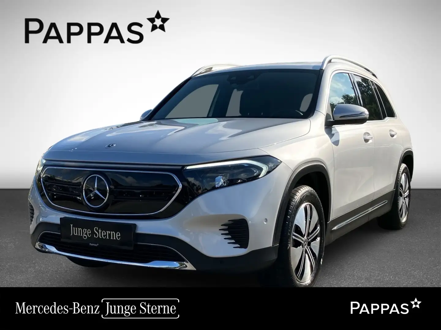 Mercedes-Benz EQB 300 4MATIC Österreich-Edition *Rückfahrkamera *Sitzhei Zilver - 1