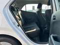 Kia Picanto 1.0 12V 5 porte Active Blanc - thumbnail 9