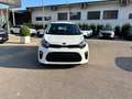 Kia Picanto 1.0 12V 5 porte Active Blanc - thumbnail 2