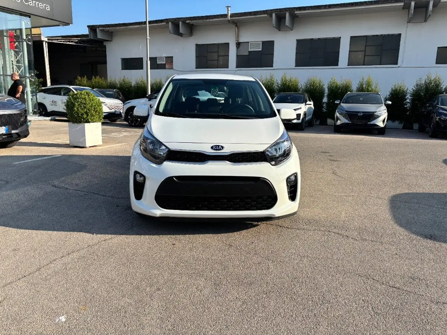 Kia Picanto 1.0 12V 5 porte Active Blanc - 2