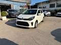 Kia Picanto 1.0 12V 5 porte Active Blanc - thumbnail 3