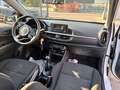 Kia Picanto 1.0 12V 5 porte Active Blanc - thumbnail 8