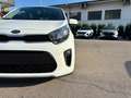 Kia Picanto 1.0 12V 5 porte Active Blanc - thumbnail 10