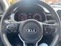 Kia Stonic 1.0T NAVI CRUISE ALU LANE ASSIST CAMERA Gris - thumbnail 11