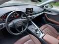 Audi A4 30 TDi Business Edit. Sport S tron (EU6d-T.) leder Gris - thumbnail 6