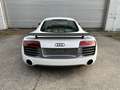 Audi R8 R8 Coupé 5,2 FSI quattro S-tronic Weiß - thumbnail 4