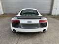Audi R8 R8 Coupé 5,2 FSI quattro S-tronic Weiß - thumbnail 8