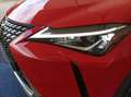 Lexus UX 250h Business Navigation 2WD Rosso - thumbnail 11