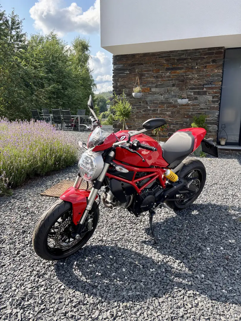 Ducati Monster 797 - 1