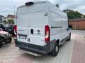 Fiat Ducato 35 3.0 CNG PLM-SL-TA Furgone Bianco - thumbnail 4