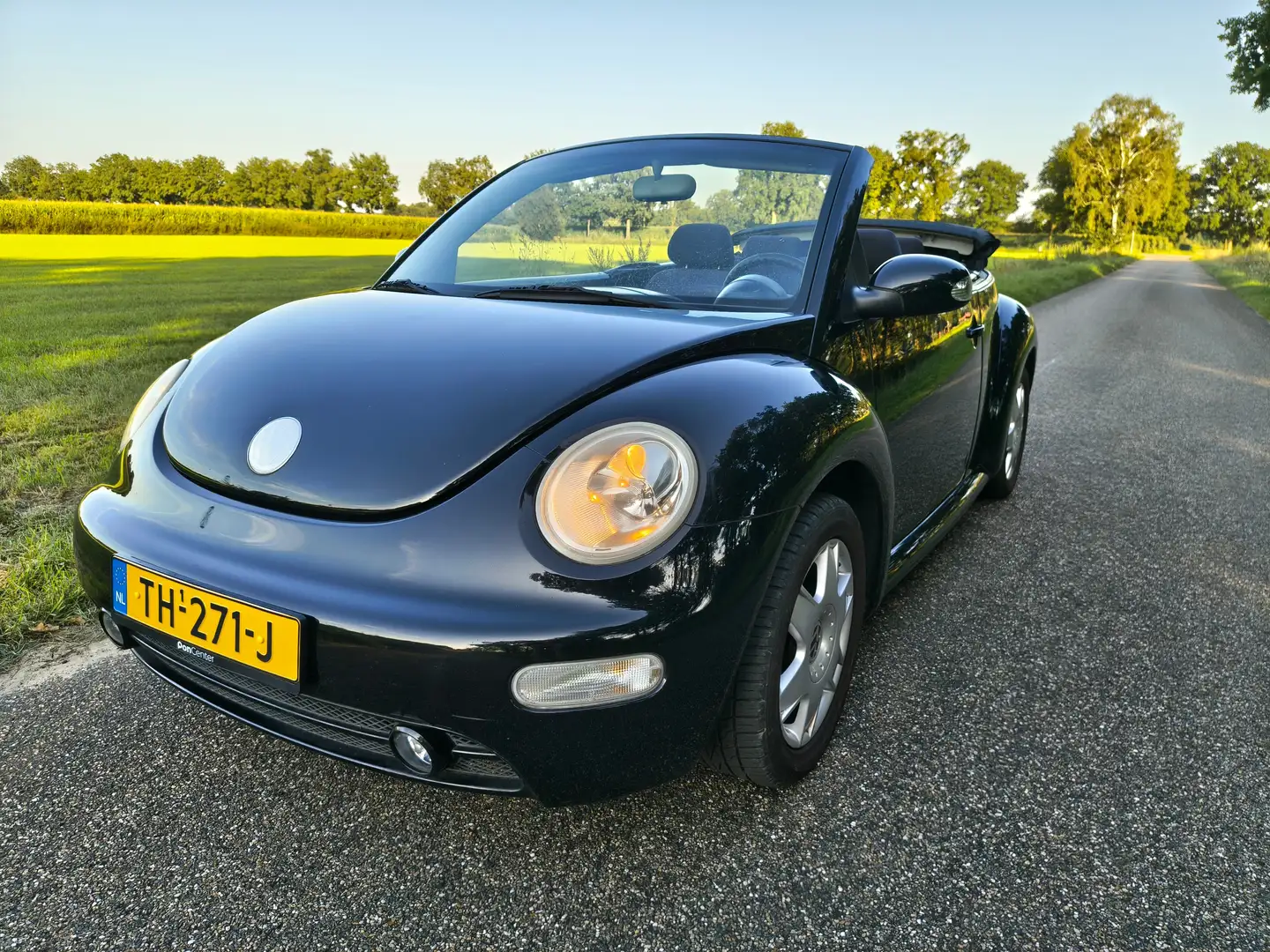 Volkswagen New Beetle New Beetle 1.4 Turijn Zwart - 2