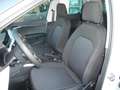 SEAT Arona ARONA ROAD EDITION 1.0 TSI DSG AHK-VORBER. SHZ Weiß - thumbnail 7