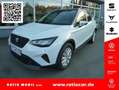 SEAT Arona ARONA ROAD EDITION 1.0 TSI DSG AHK-VORBER. SHZ Weiß - thumbnail 1