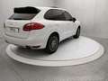 Porsche Cayenne Cayenne 3.0 Diesel Blanco - thumbnail 4