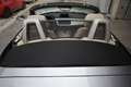 BMW Z4 BMW Z4 2.5i Roadster Unicoproprietario Grigio - thumbnail 10