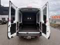 Ford Transit Variobus 2,0 TDCI L3H2 350 Trend - thumbnail 3