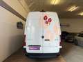 Mercedes-Benz Sprinter CDI FWD L2 ***MWST ausweisbar*** Weiß - thumbnail 21