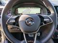 Skoda Kamiq Monte Carlo 1.0 TSI DSG Navi RFK PANO AHK Grau - thumbnail 19