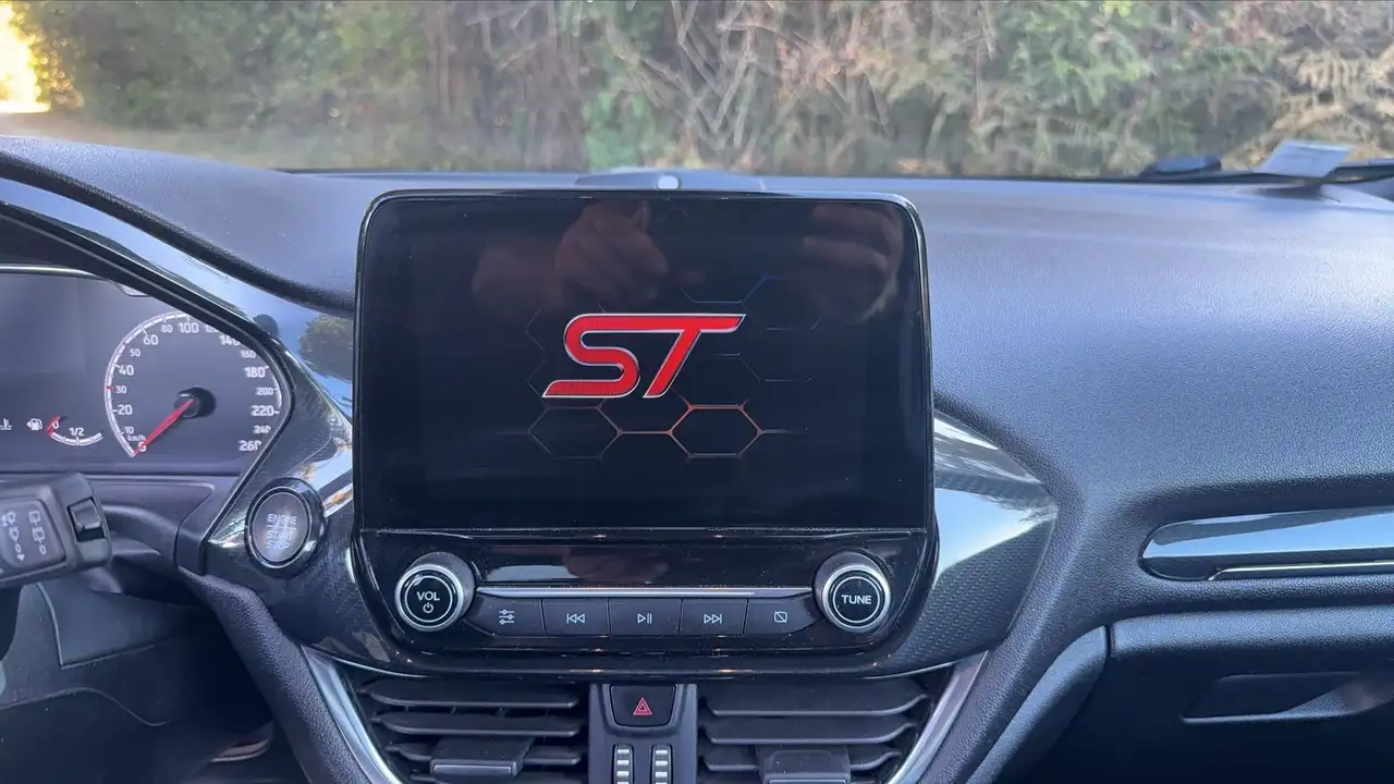 Ford Fiesta ST — photo 22
