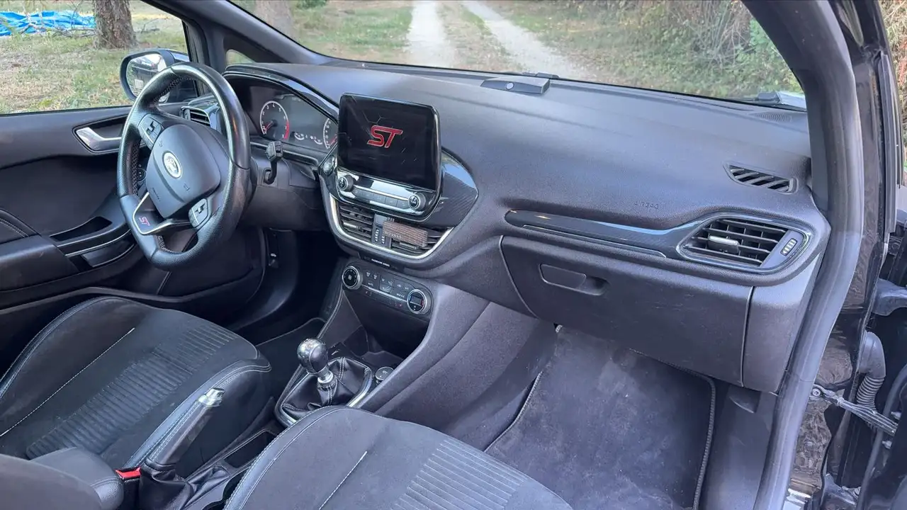 Ford Fiesta ST — photo 10