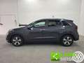 Kia Niro 1.6 GDi DCT HEV Style GARANZIA KIA Grigio - thumbnail 15