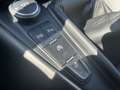 Ford Focus Turnier 1.0 EcoBoost Business W-Paket PDC Grau - thumbnail 21