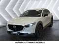 Mazda CX-30 2.5 SKYACTIV-G M Hy. Homura AT Navi ACC Beige - thumbnail 3