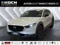 Mazda CX-30 2.5 SKYACTIV-G M Hy. Homura AT Navi ACC Beige - thumbnail 1
