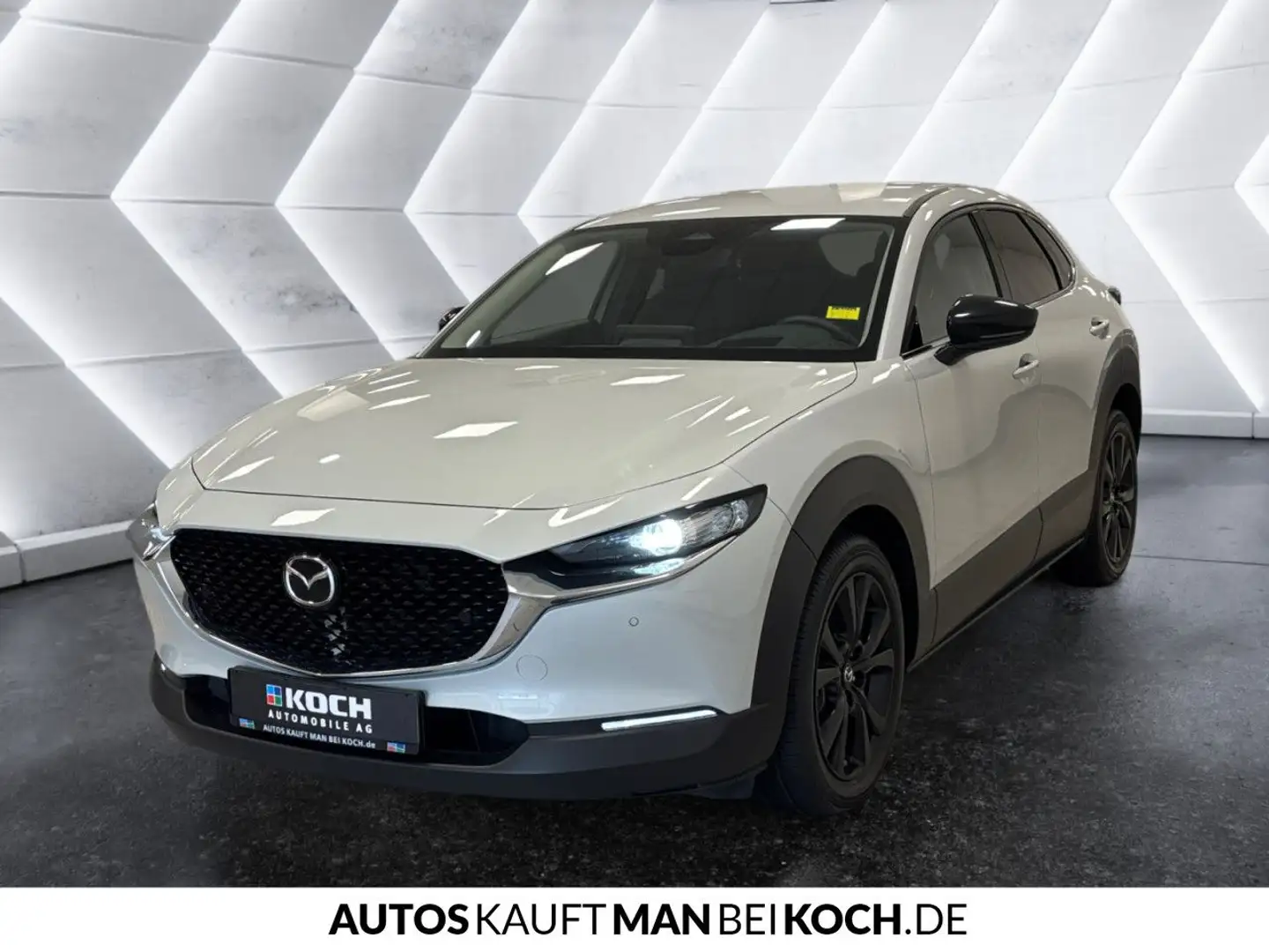 Mazda CX-30 2.5 SKYACTIV-G M Hy. Homura AT Navi ACC Beige - 2