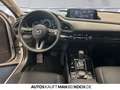 Mazda CX-30 2.5 SKYACTIV-G M Hy. Homura AT Navi ACC Beige - thumbnail 9