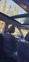 Nissan X-Trail X-Trail 1.6 dci N-Vision 2wd Bianco - thumbnail 7