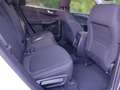 Ford Kuga Hybrid Titanium 2.5 Duratec FHEV EU6d Allrad Navi Weiß - thumbnail 12