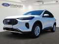 Ford Kuga Hybrid Titanium 2.5 Duratec FHEV EU6d Allrad Navi Weiß - thumbnail 1