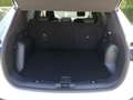 Ford Kuga Hybrid Titanium 2.5 Duratec FHEV EU6d Allrad Navi Weiß - thumbnail 6